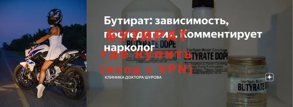 сатива Верея