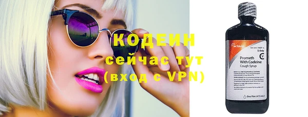 сатива Верея