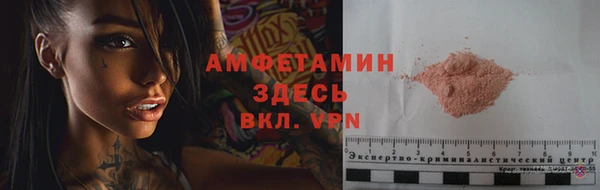сатива Верея