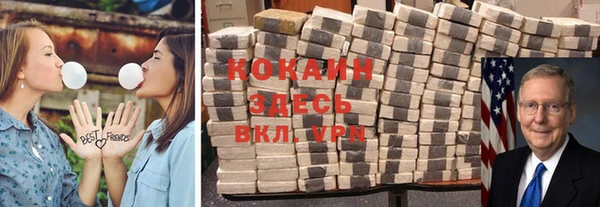 сатива Верея
