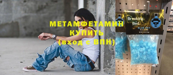 сатива Верея