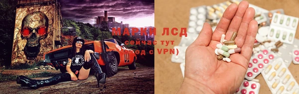 сатива Верея