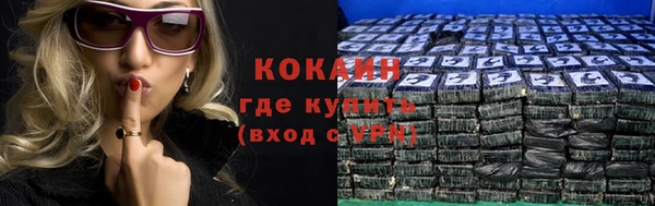 сатива Верея