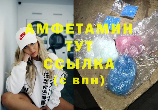 сатива Верея